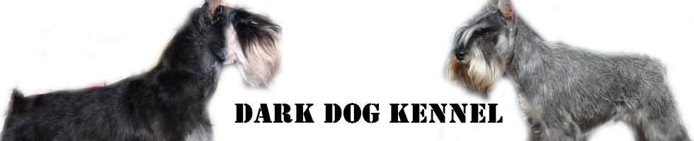 Dark Dog kennel